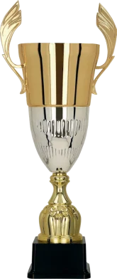Cupa 50 cm, D140 mm, 3105C