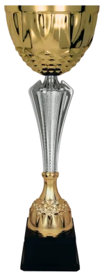 Cupa 36.5 cm, D120 mm, 3153C