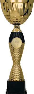 Cupa 34.5 cm, D120 mm, 4221C