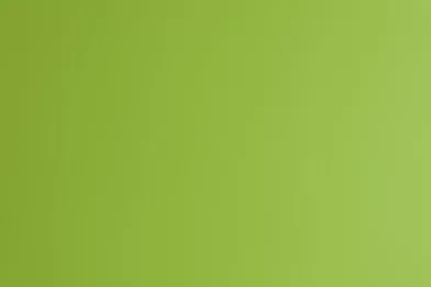 Carton FABRIANO Colore 50x70cm, 200g/m2 verde pisello