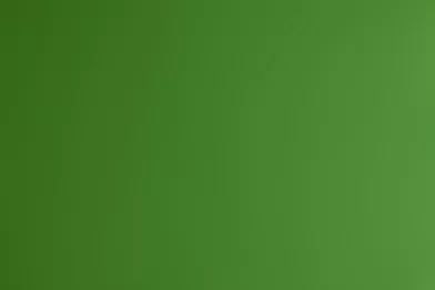 Carton FABRIANO Colore 50x70cm, 200g/m2 verde