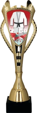 Кубок KARATE 32.5 см, 7243KAR-E