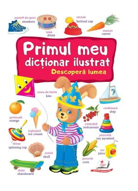Cartea Primul meu dictionar ilustrat