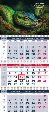 Calendar de perete ŞARPE VERDE, 2025, cu 3 sectii 