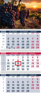 Calendar de perete STRUGURI, 2025, cu 3 sectii 