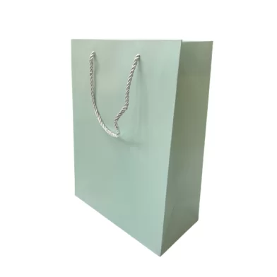 Punga p-u cadou, 25х33х11cm, verde