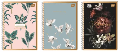Caiet INTERDRUK Gold Satin A4, 50 foi, spira, matematica