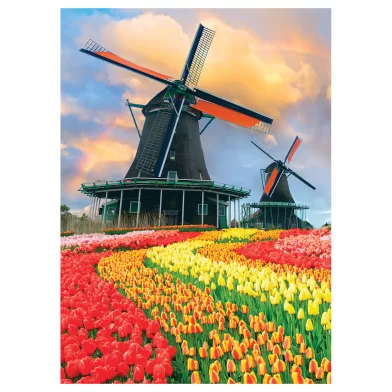 Puzzle ТРИ СОВЫ "Moare de vint", 1000 elemente