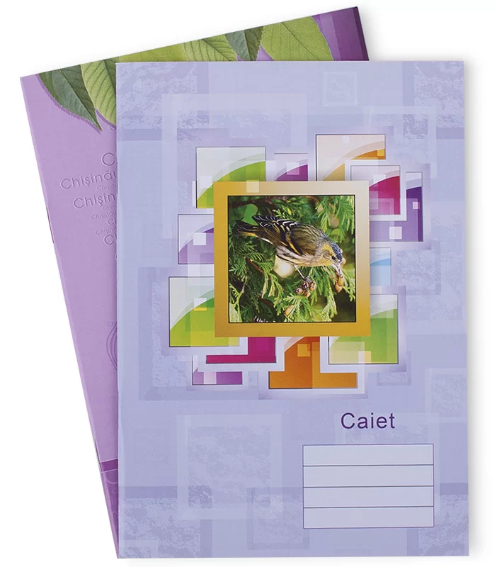 Caiet CP EURO, 24 foi, с/t, matematica
