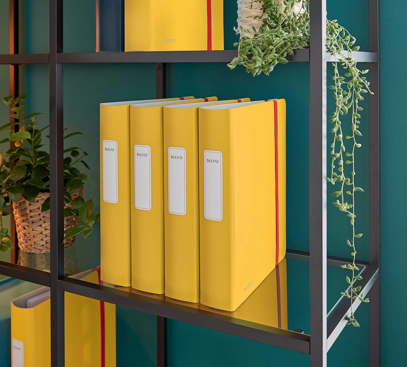 Biblioraft LEITZ Active Cosy А4, 65mm, galben