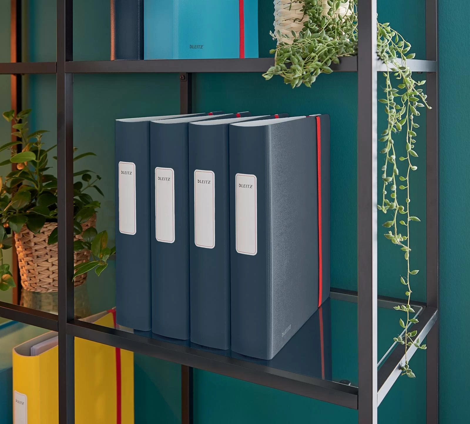 Biblioraft LEITZ Active Cosy А4, 65mm, gri