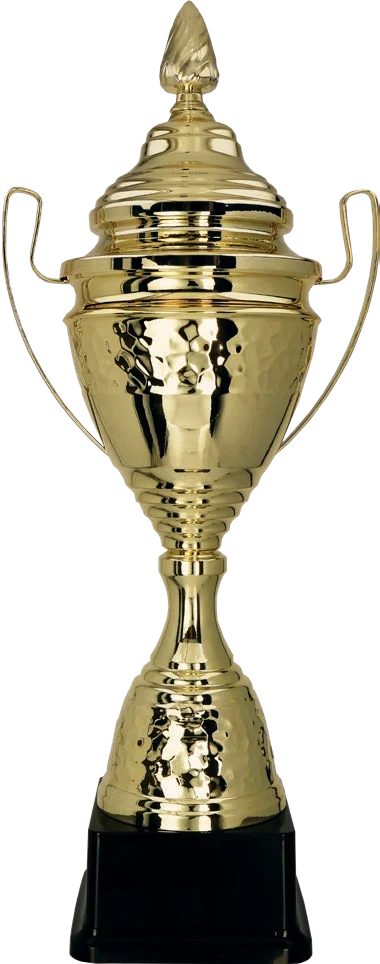Cupa 51 cm, D140, 1073C