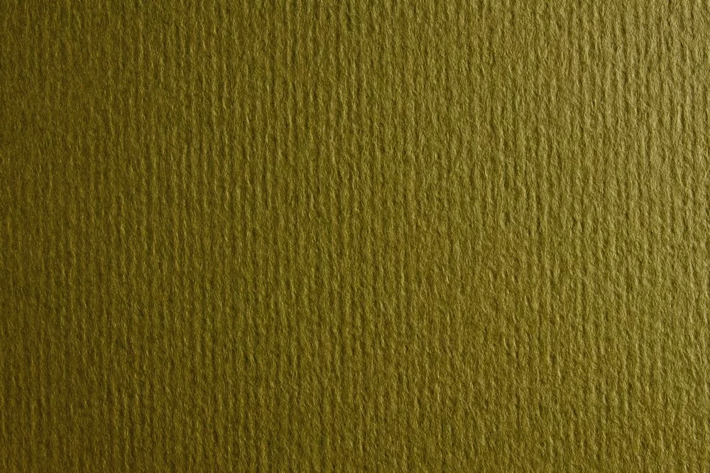 Carton FABRIANO Murillo 70x100cm, 190g/m2 oliva