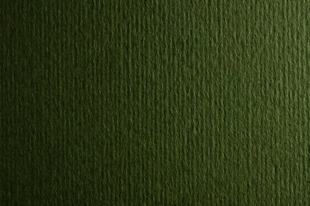 Carton FABRIANO Murillo 70x100cm, 190g/m2 verdone