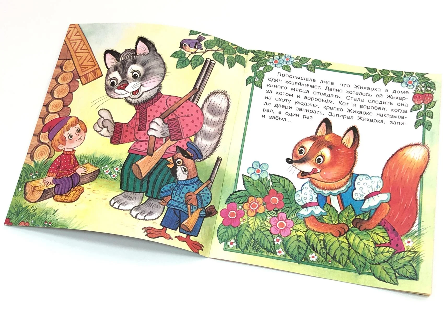 Книга Жихарка (сказка сред)