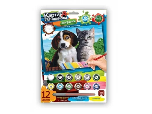 Pictura pe numere "Best Friends" mini