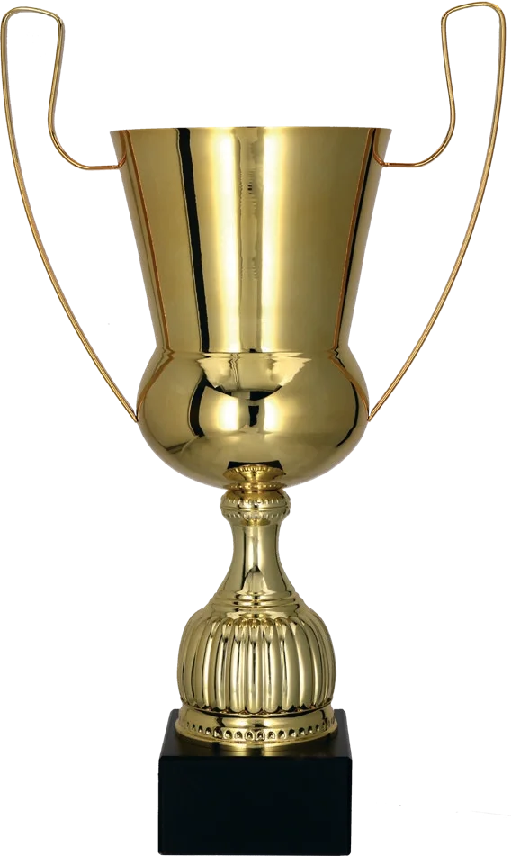 Cupa 42 cm, D140 mm, 2091C