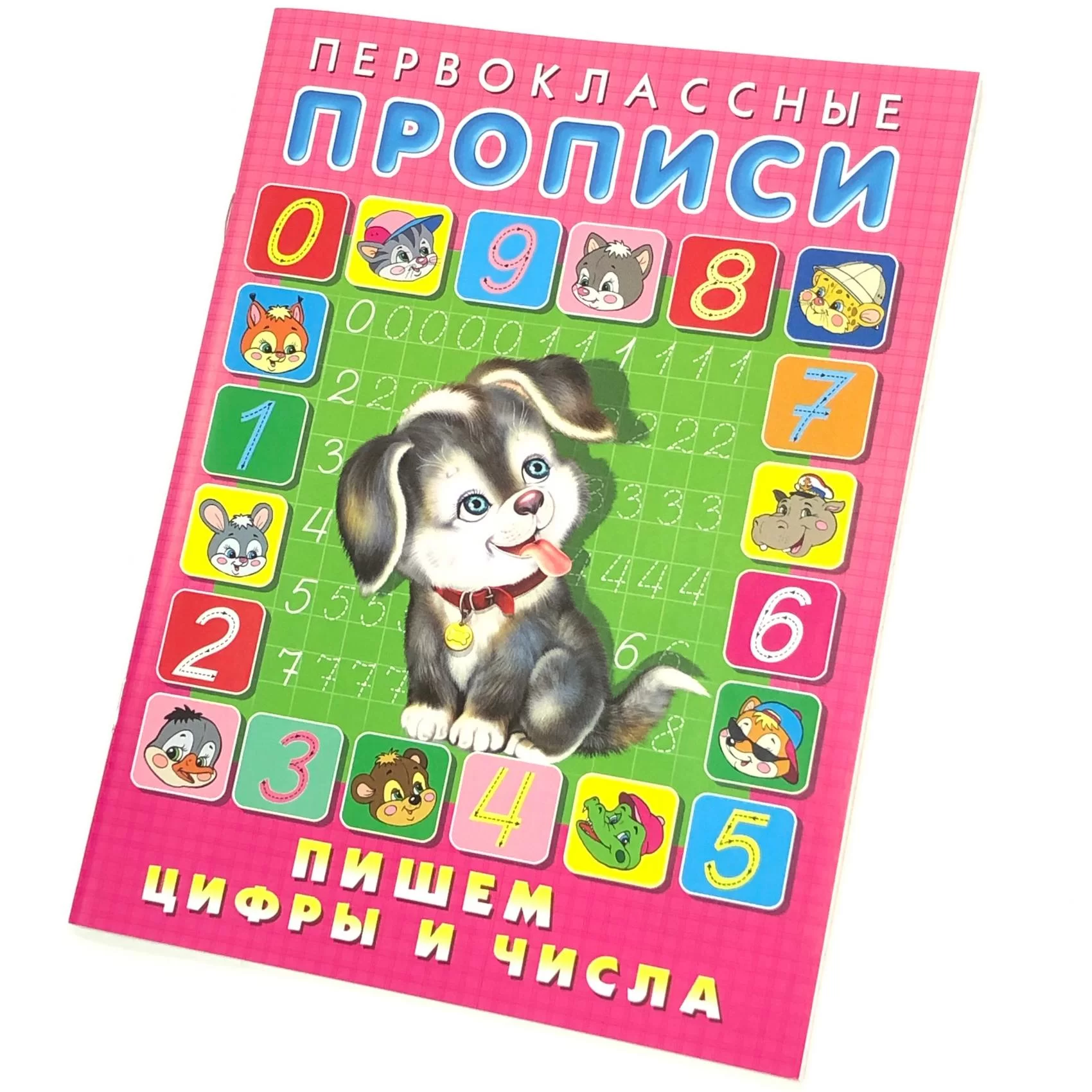 Caiet de scriere ПП Пишем цифры и числа