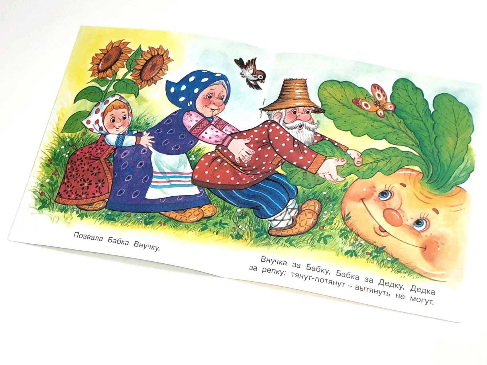 Книга Репка (сказка сред)