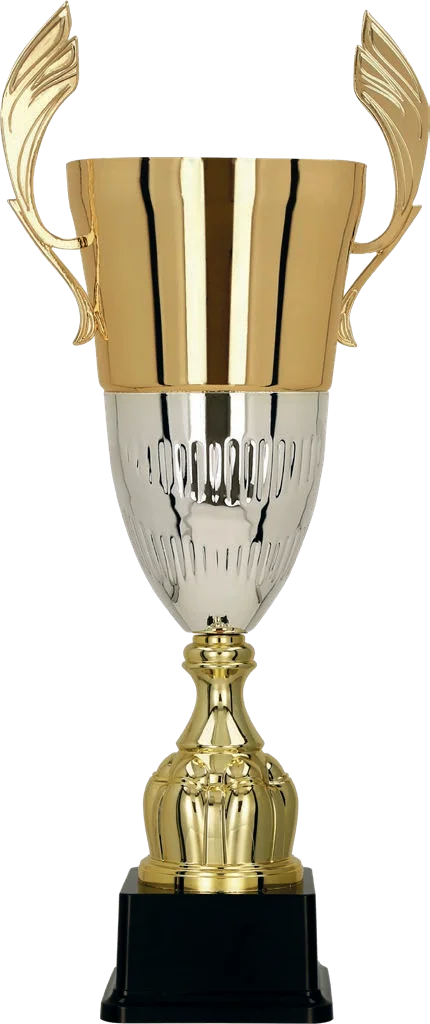 Cupa 62 cm, D180 mm, 3105A