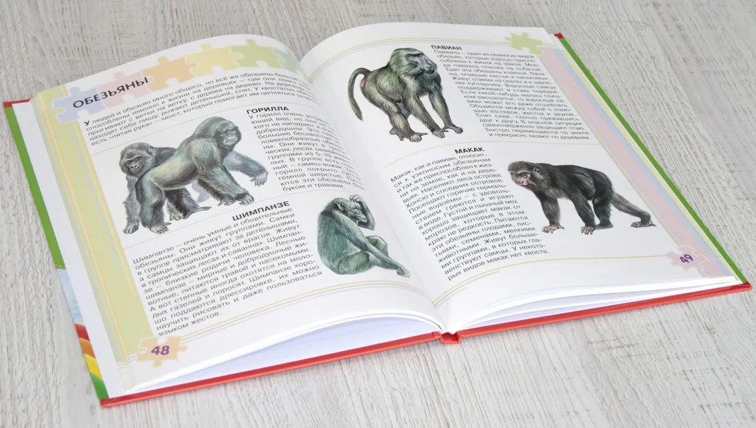 Enciclopedia Интересный мир, моя первая энц.