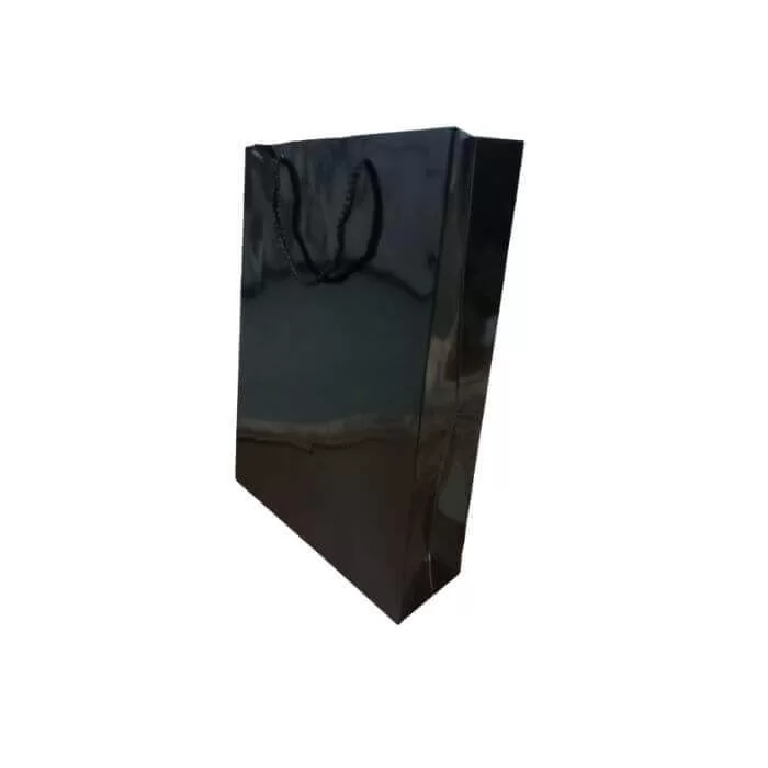 Punga p-u cadou, 19х25х11 cm, glossy, negru
