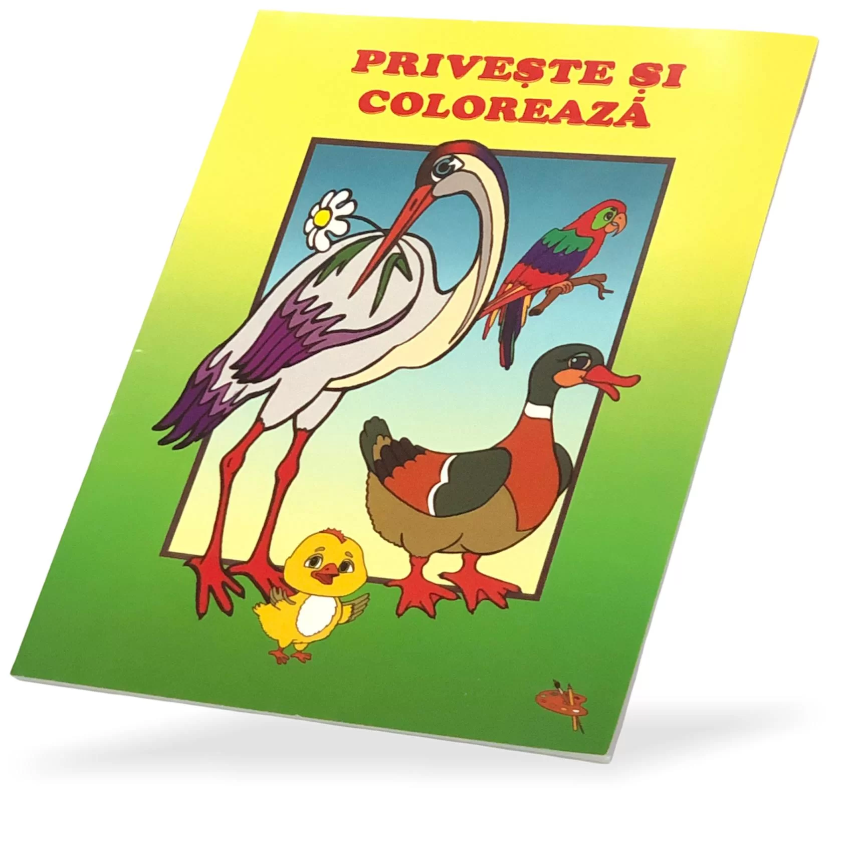 Раскраска Priveste si coloreaza Pasari