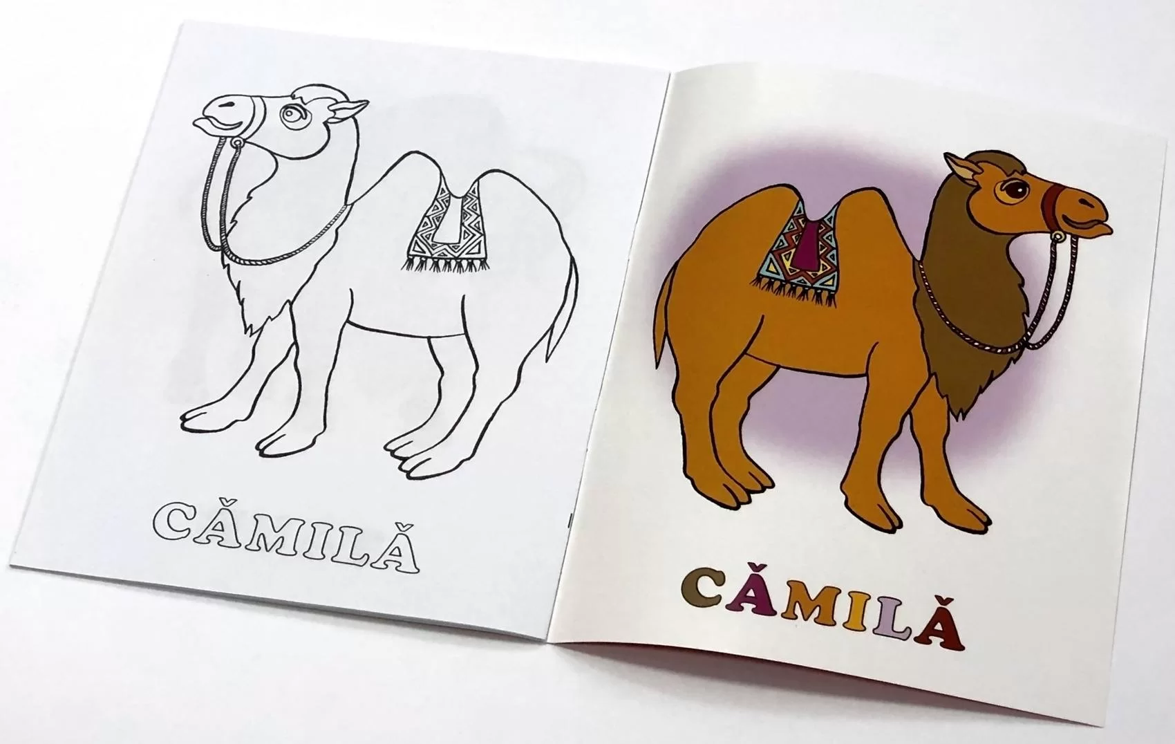 Carte de colorat Priveste si coloreaza Animale domestice