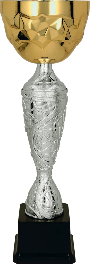 Cupa 29 cm, D100 mm, 4186D