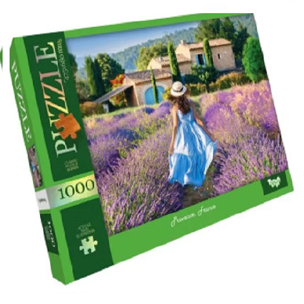 Пазлы DANKO TOYS, Provence, 1000 элеменов