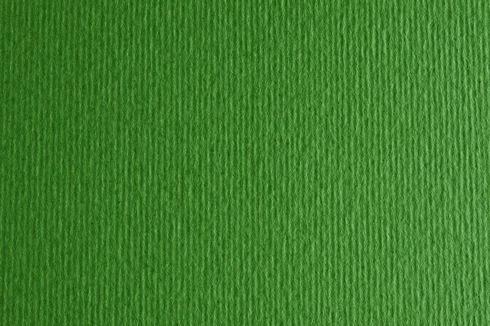 Carton FABRIANO Elle Erre 50x70cm, 220g/m2 verde