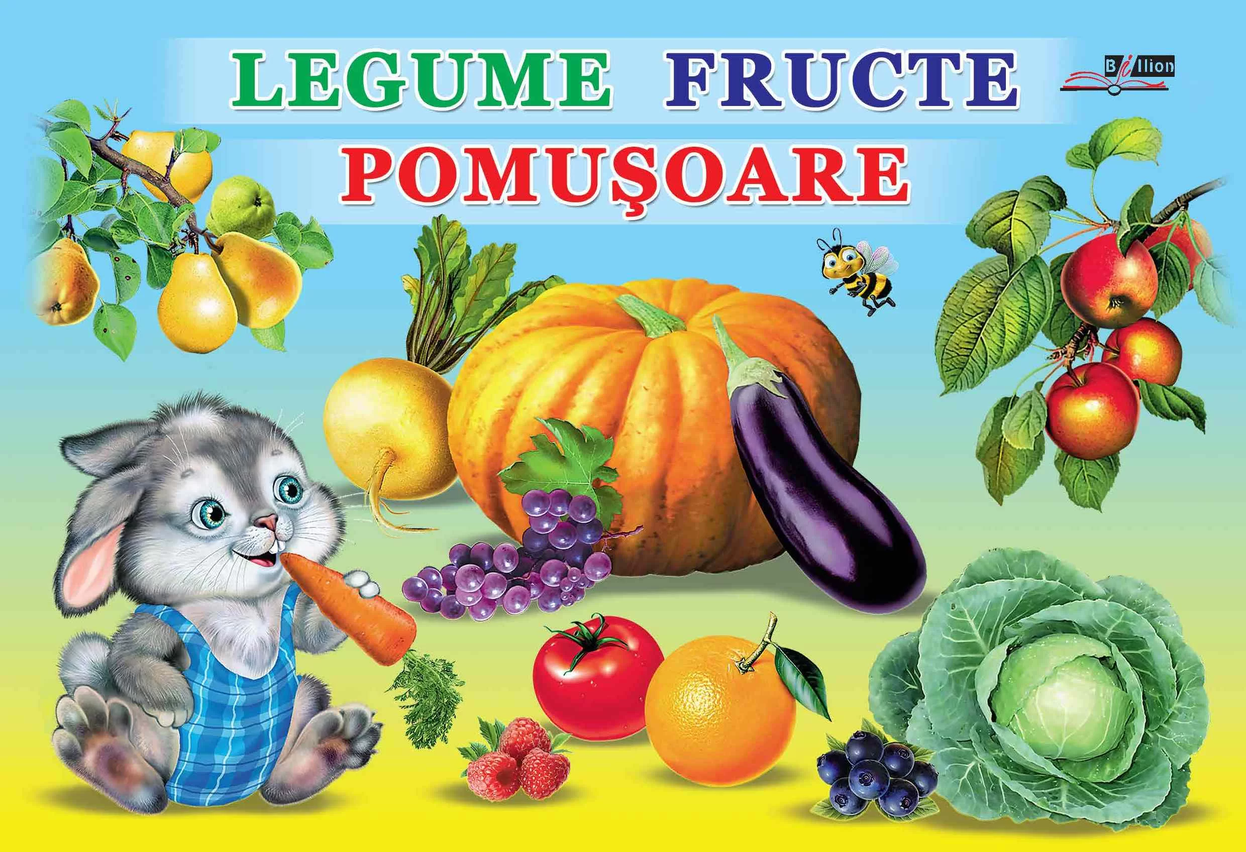 Cartea Legume, fructe, pumusoare (Carton)