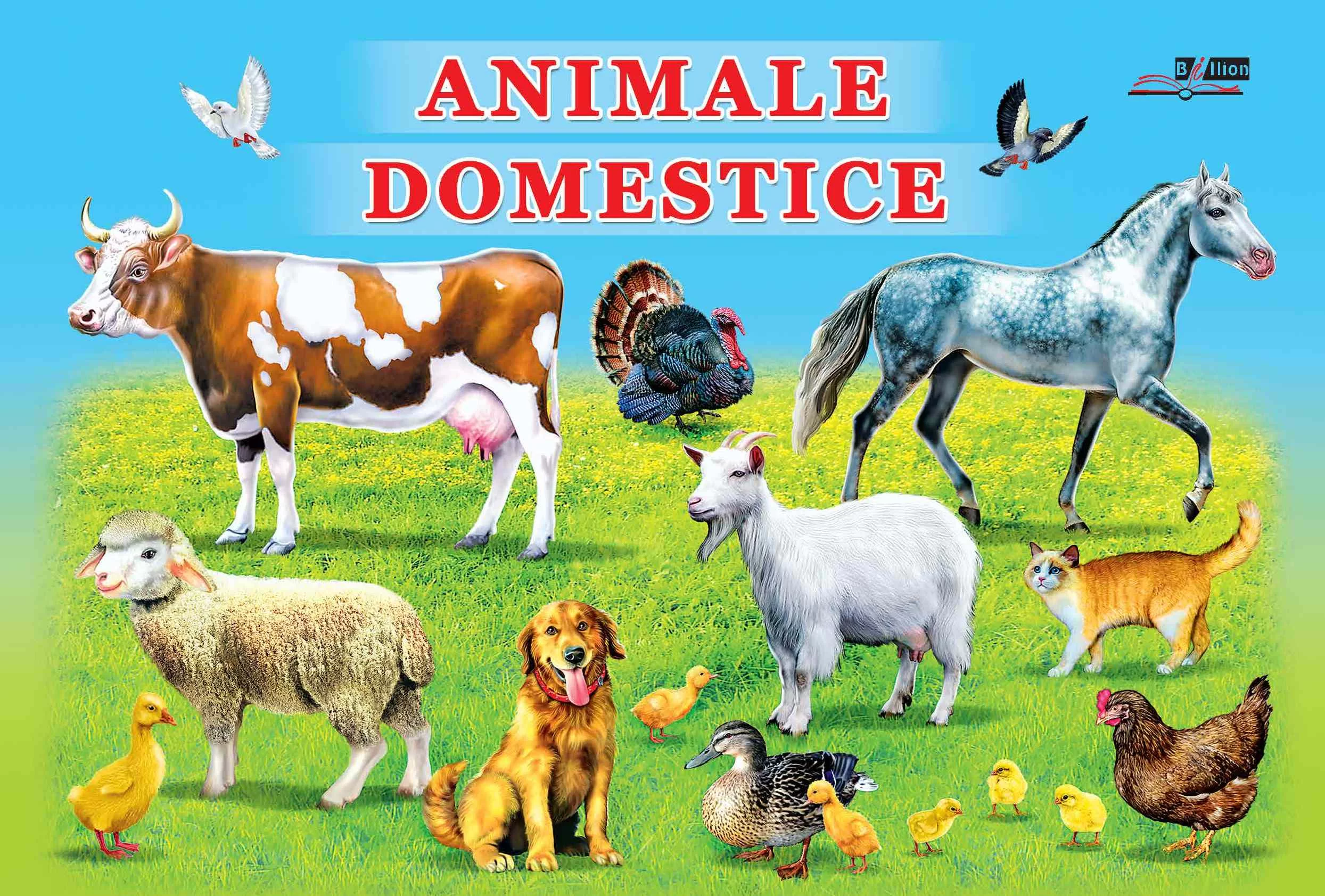Cartea Animale domestice (Carton)