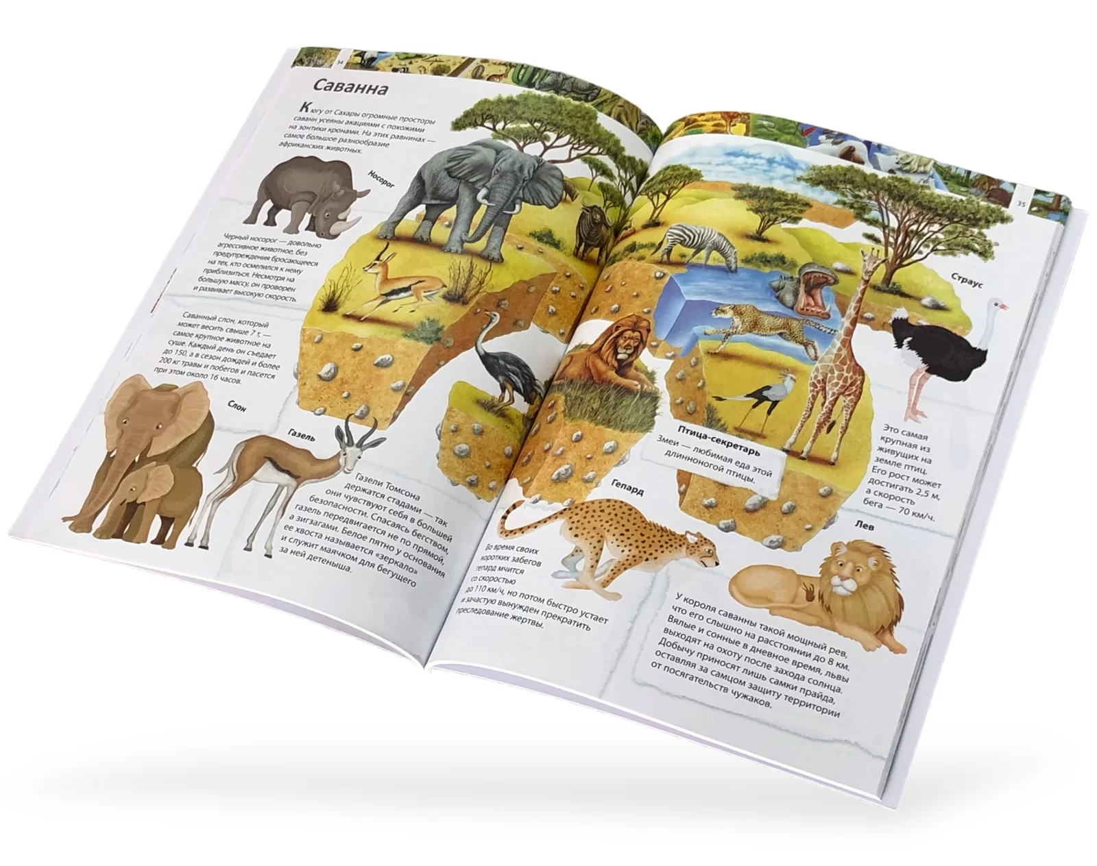 Enciclopedia Удивительный мир животных 3