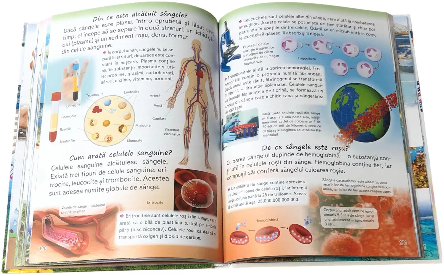 Enciclopedia Elevului intrebari si raspunsuri
