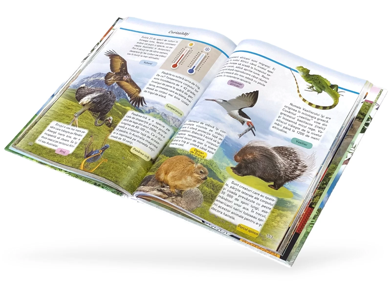 Enciclopedia Curiozitati din Lumea Animalelor
