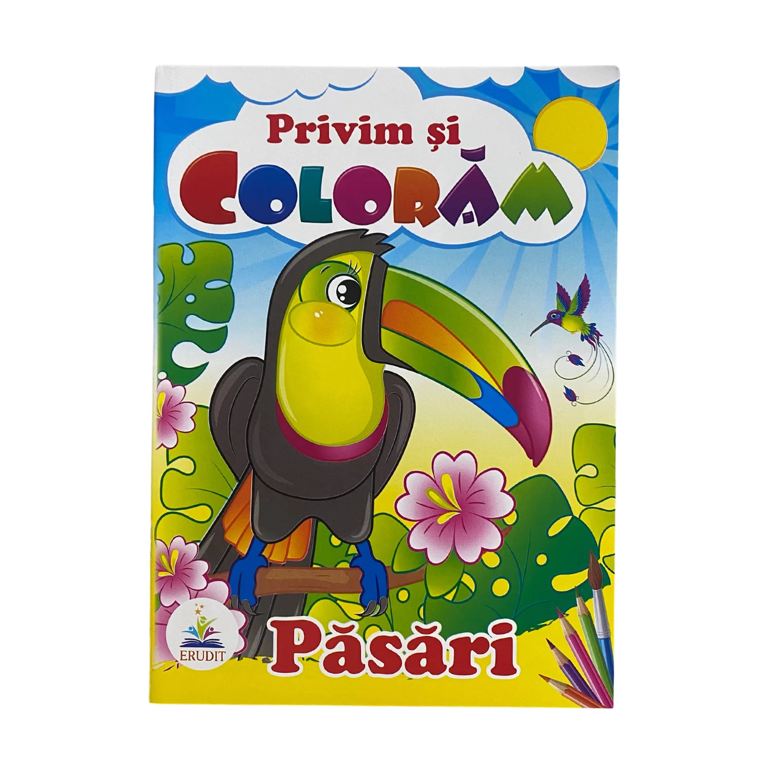 Carte de colorat Privim si coloram Pasari