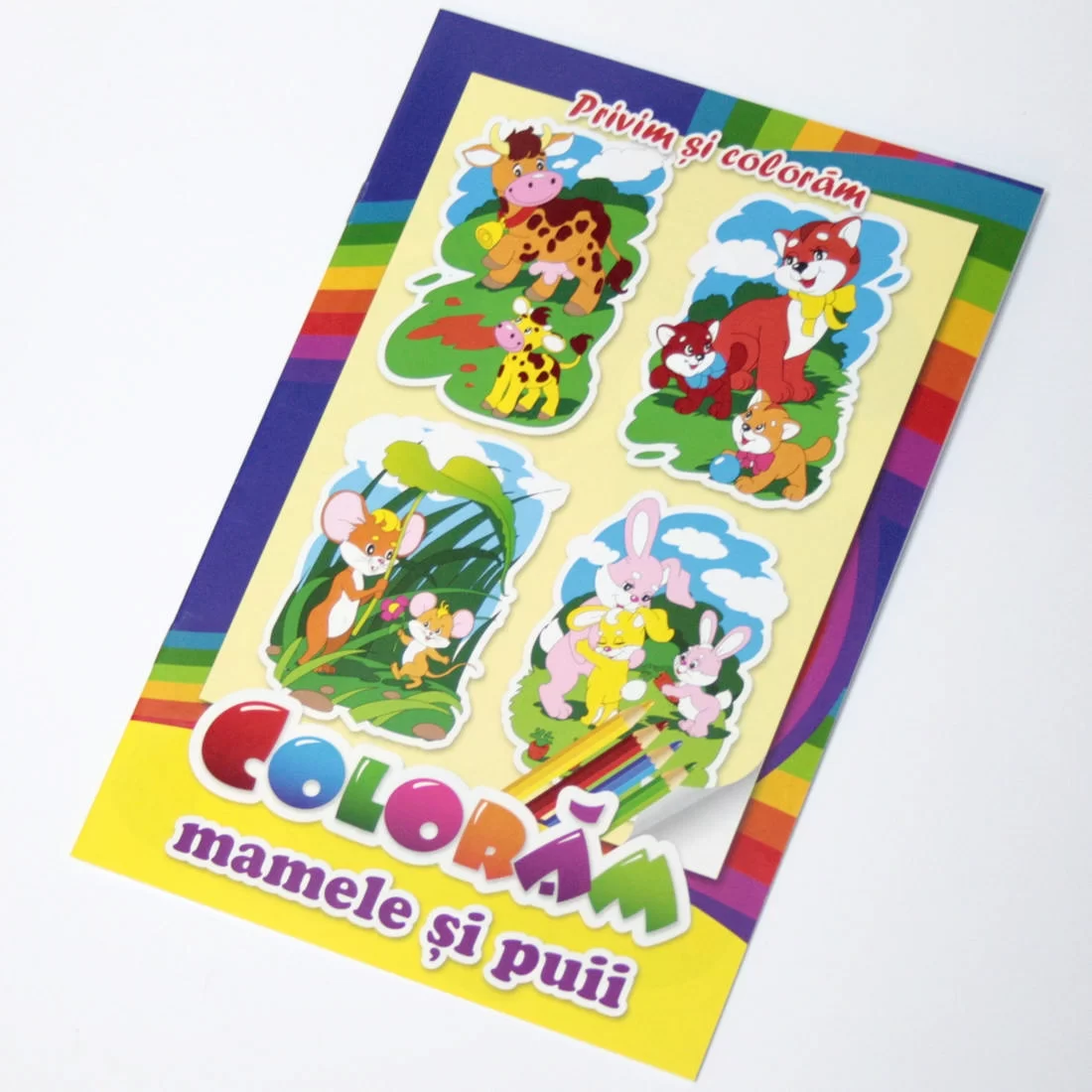 Carte de colorat Privim si coloram Animale amuzante