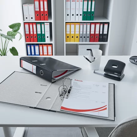 Biblioraft ESSELTE Economy A4, 50mm, PP, negru