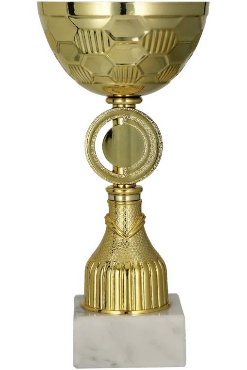 Cupa 31.5 cm, D100 mm, 9291A