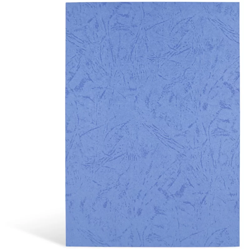 Coperta carton ARGO Delta A3, 250g/m2, 100 foi, albastra