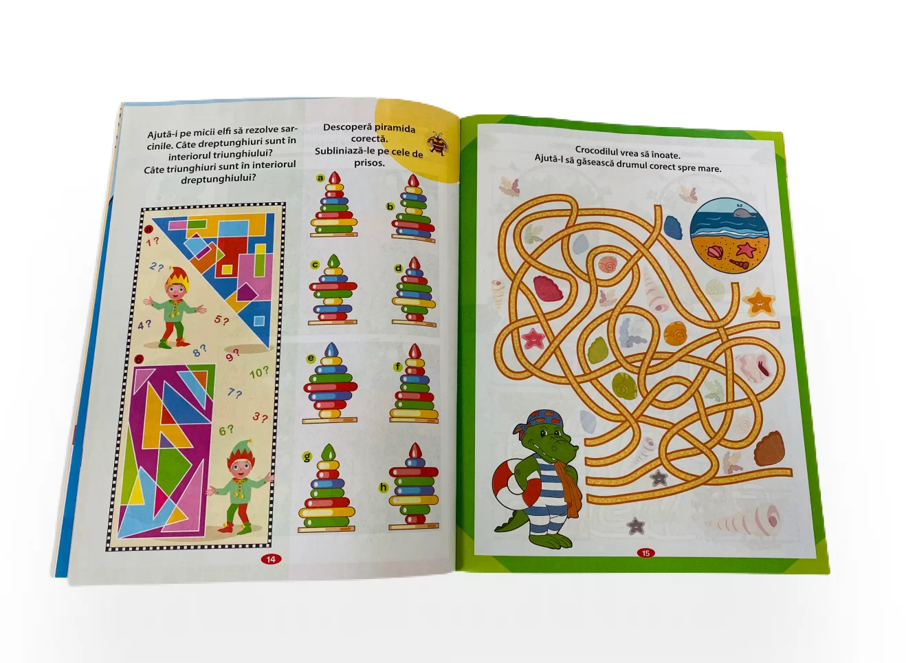 Cartea Teste + Activități, 8+