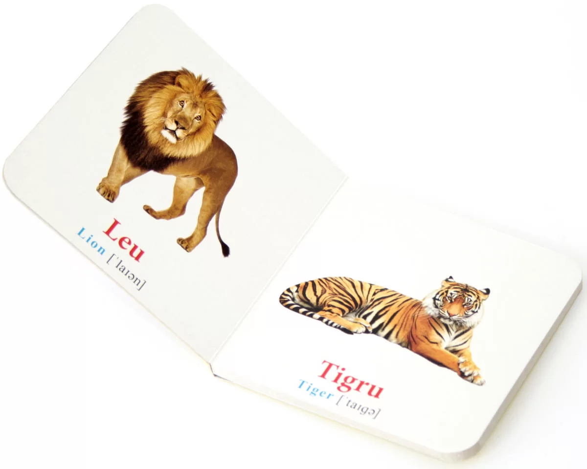 Cartea Primele Notiuni LA ZOO