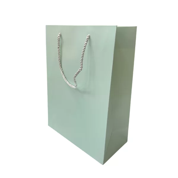 Punga p-u cadou, 25х33х11cm, verde