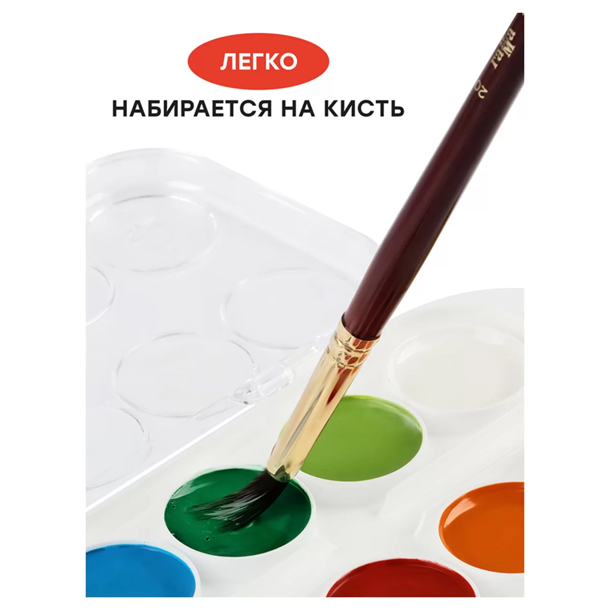 Acuarela GAMMA Multiki, 12 culori