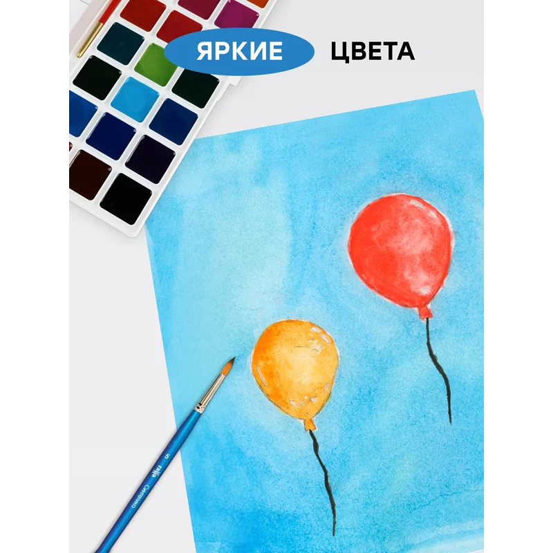 Acuarela GAMMA Сlasic, 24 culori