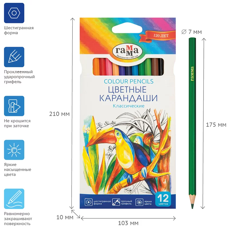Creioane colorate GAMMA Clasic, 12 culori