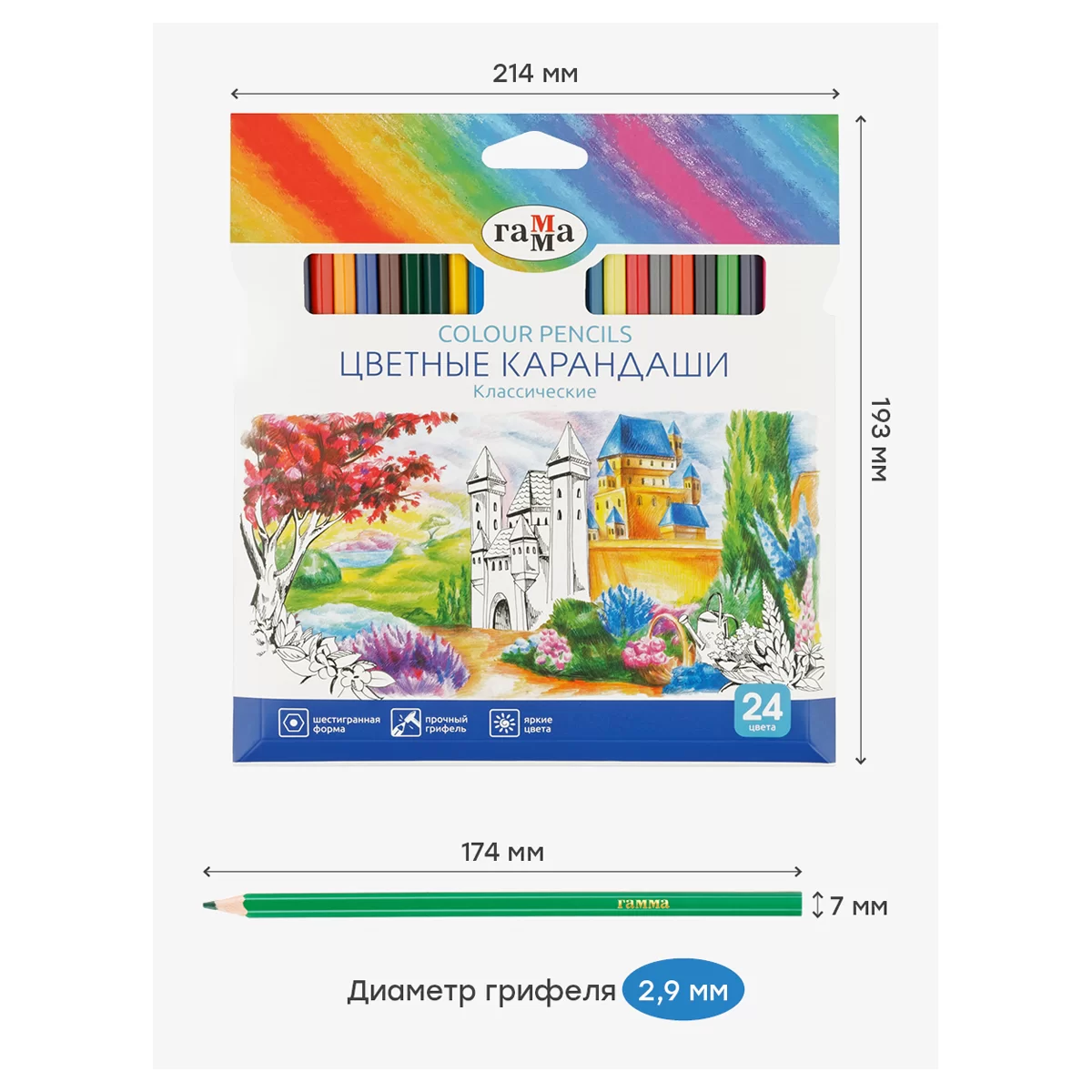 Creioane colorate GAMMA Clasic, 24 culori