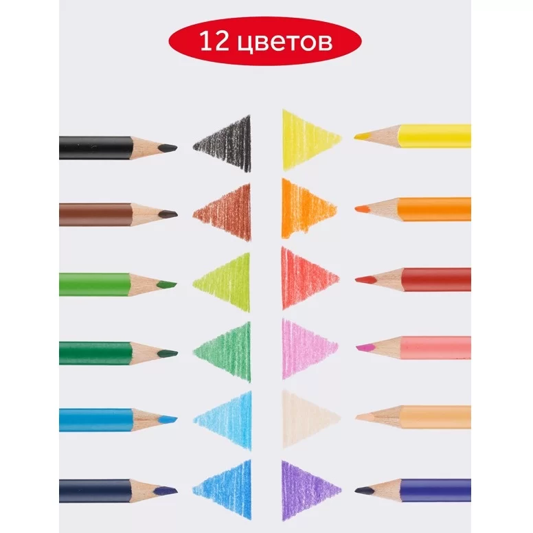 Creioane colorate GAMMA Multiki, 12 culori