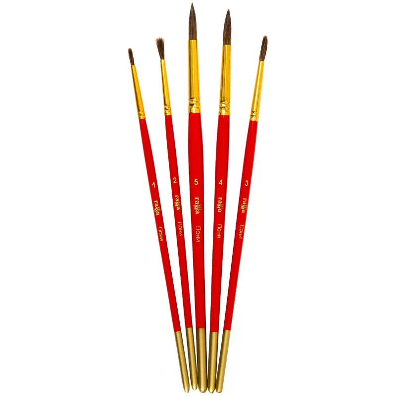 Set pensule GAMMA Ponei, 5 bucati, blister